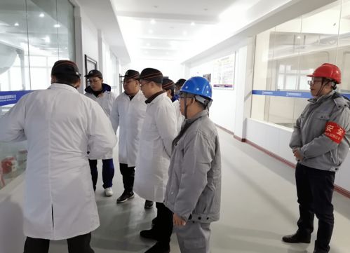 專業咨詢賦能項目管理 湘核新材項目管理咨詢服務解決方案